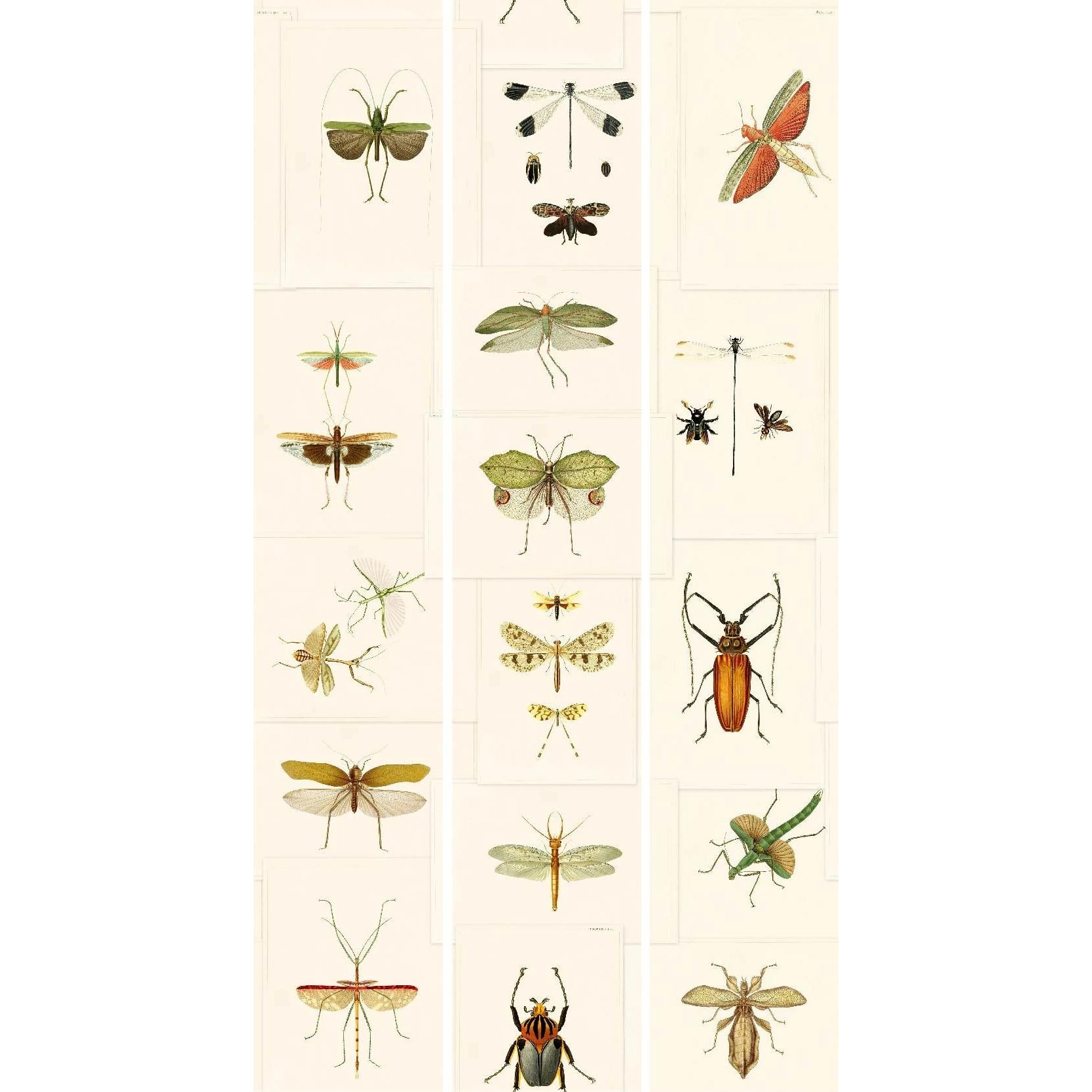 Entomology-Mind the Gap-moderndesign.io