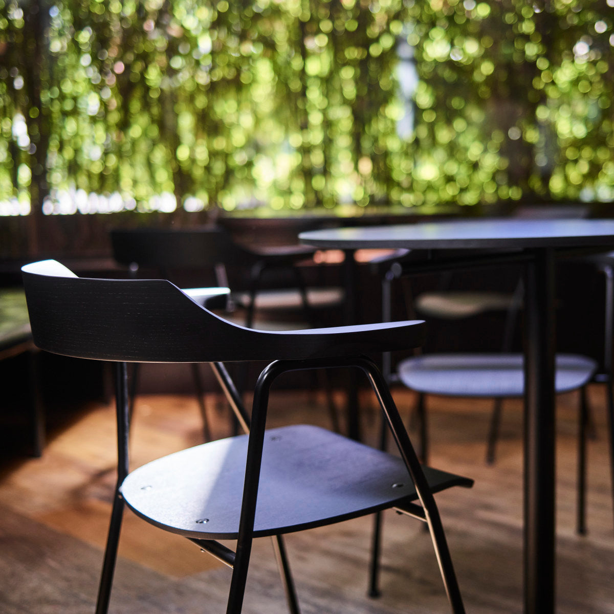 4455 24/24 S Dining Chair (with arms)-Rex Kralj-moderndesign.io