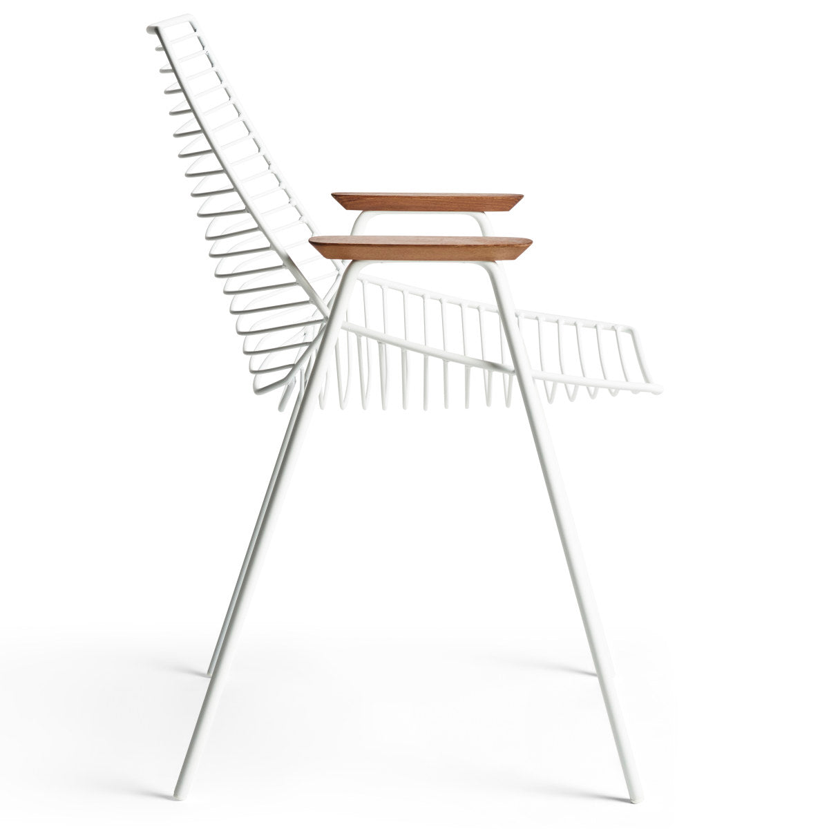 Zelo 24 Dining Chair (with arms)-Rex Kralj-moderndesign.io
