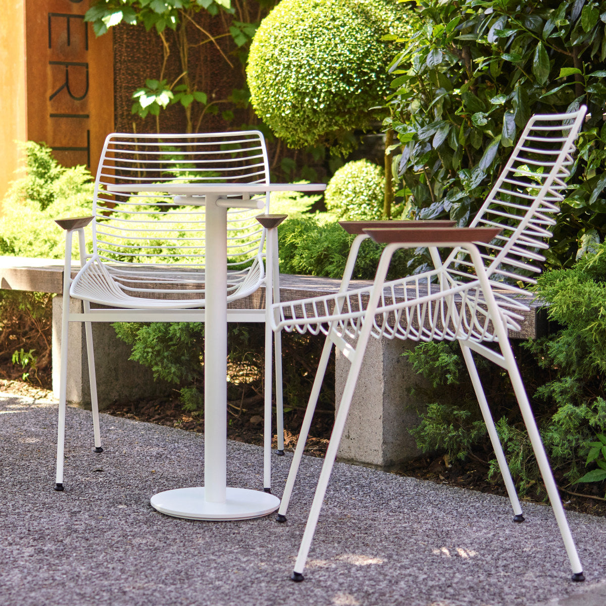 Zelo 24 Dining Chair (with arms)-Rex Kralj-moderndesign.io