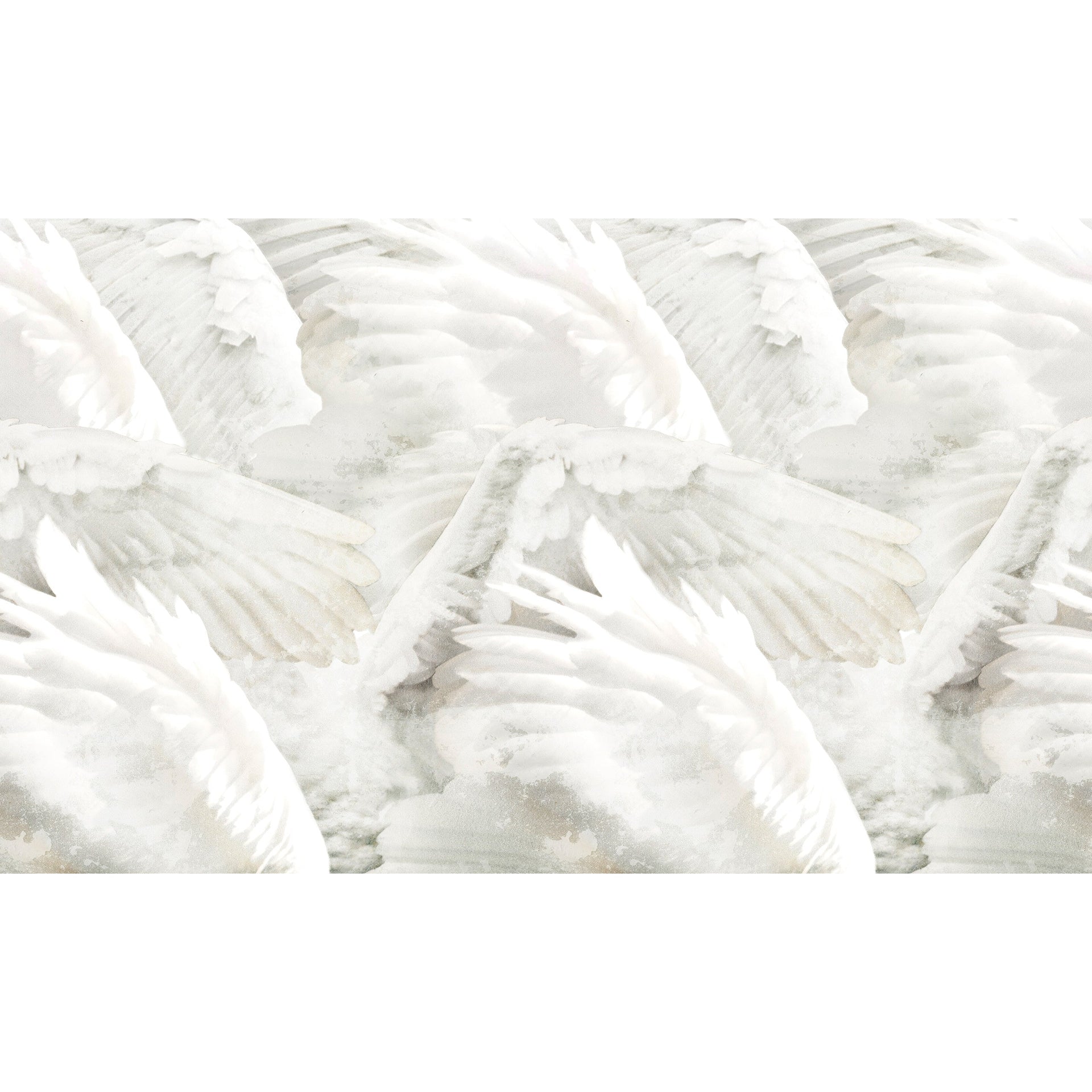 Wings-Inkiostro Bianco-moderndesign.io