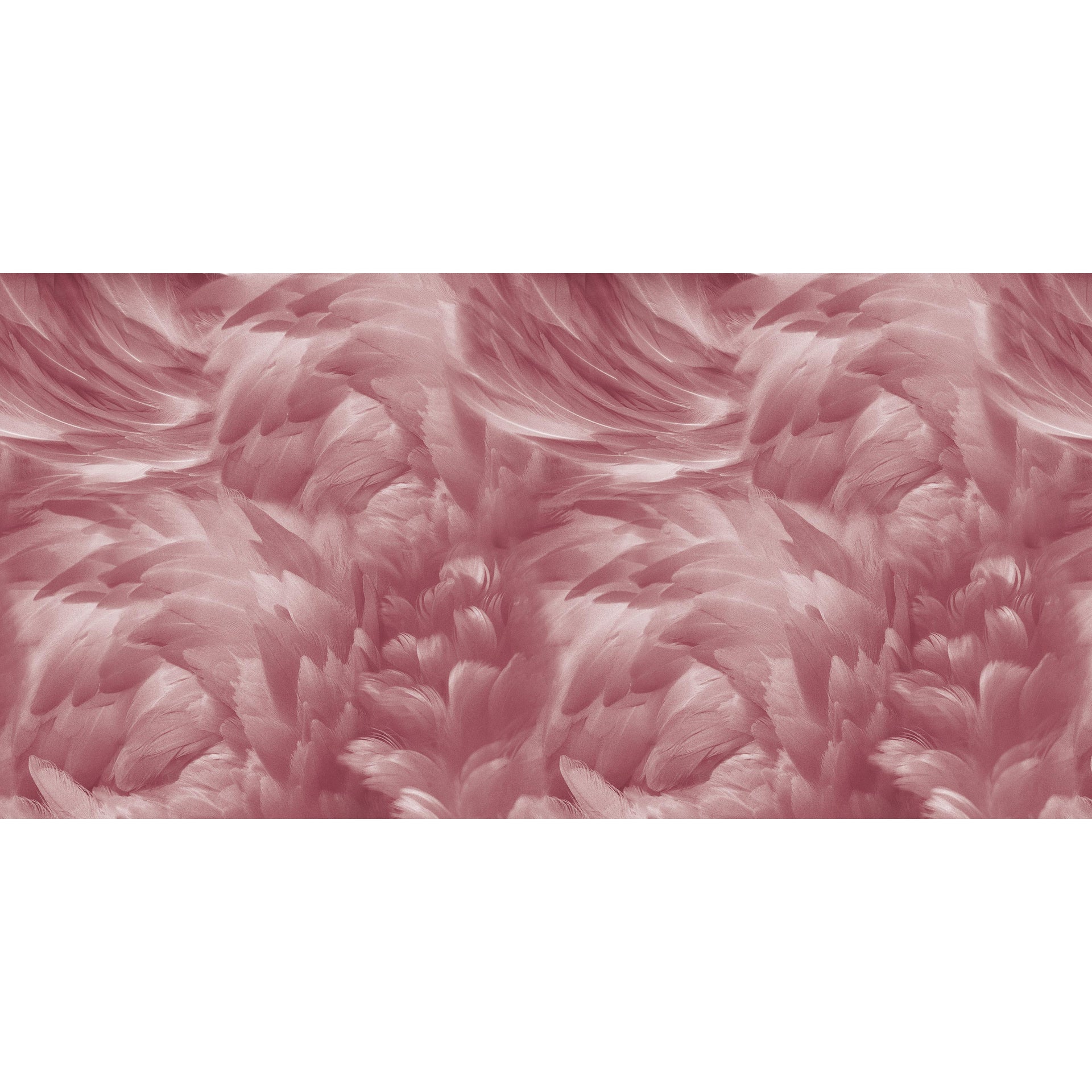 Wings-Inkiostro Bianco-moderndesign.io