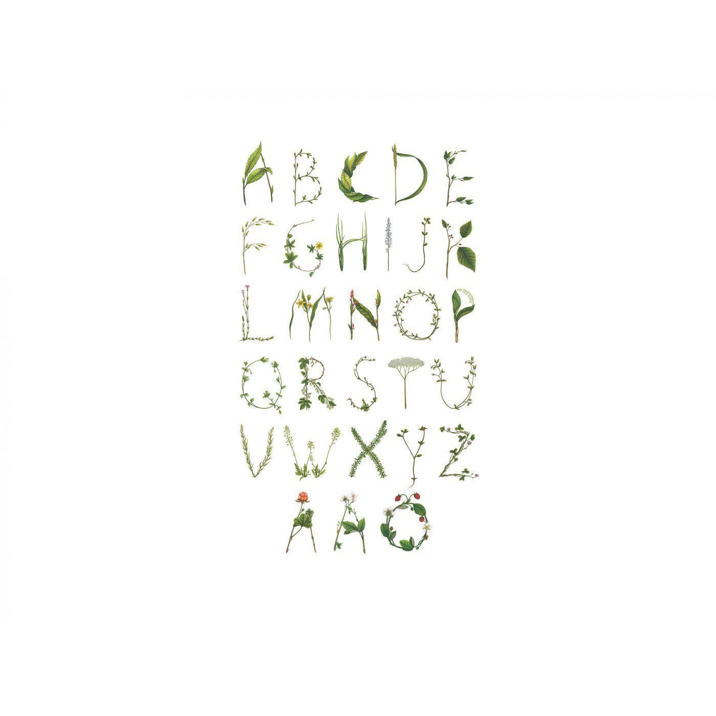 ABC For the Spelling Bee-Digital Wallpaper-Rebel Walls-Green / White 2-R13193