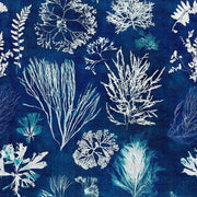 Algae-Pre-Printed Wallpaper-Mind the Gap-Blue-