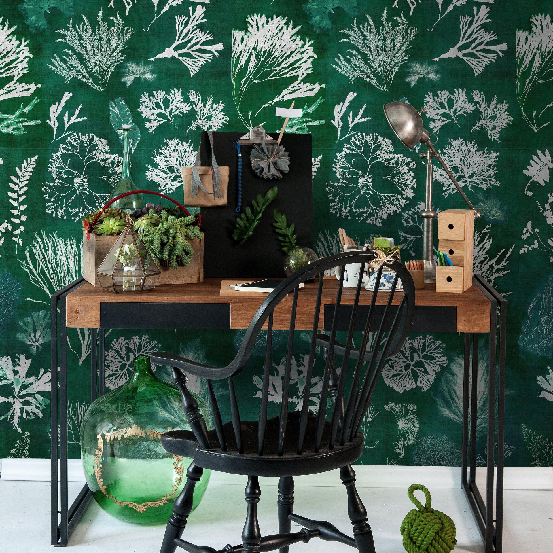 Algae-Pre-Printed Wallpaper-Mind the Gap-