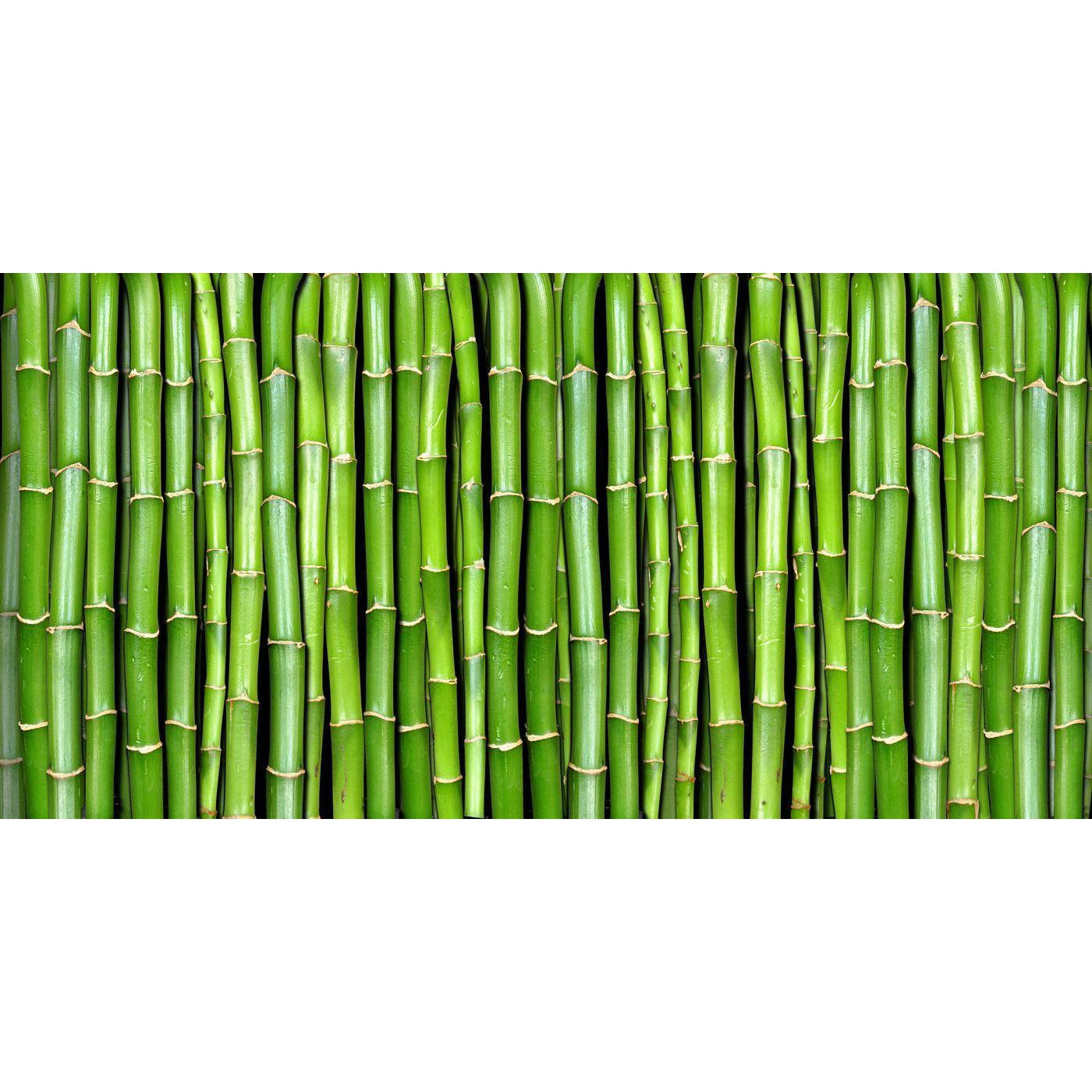 Bamboo-Digital Wallpaper-Rebel Walls-Green-R11821