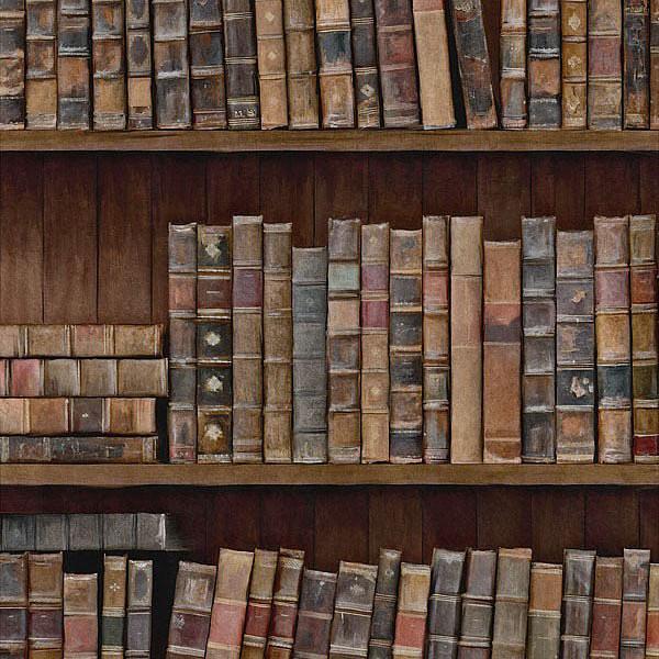 Book Shelves-Pre-Printed Wallpaper-Mind the Gap-