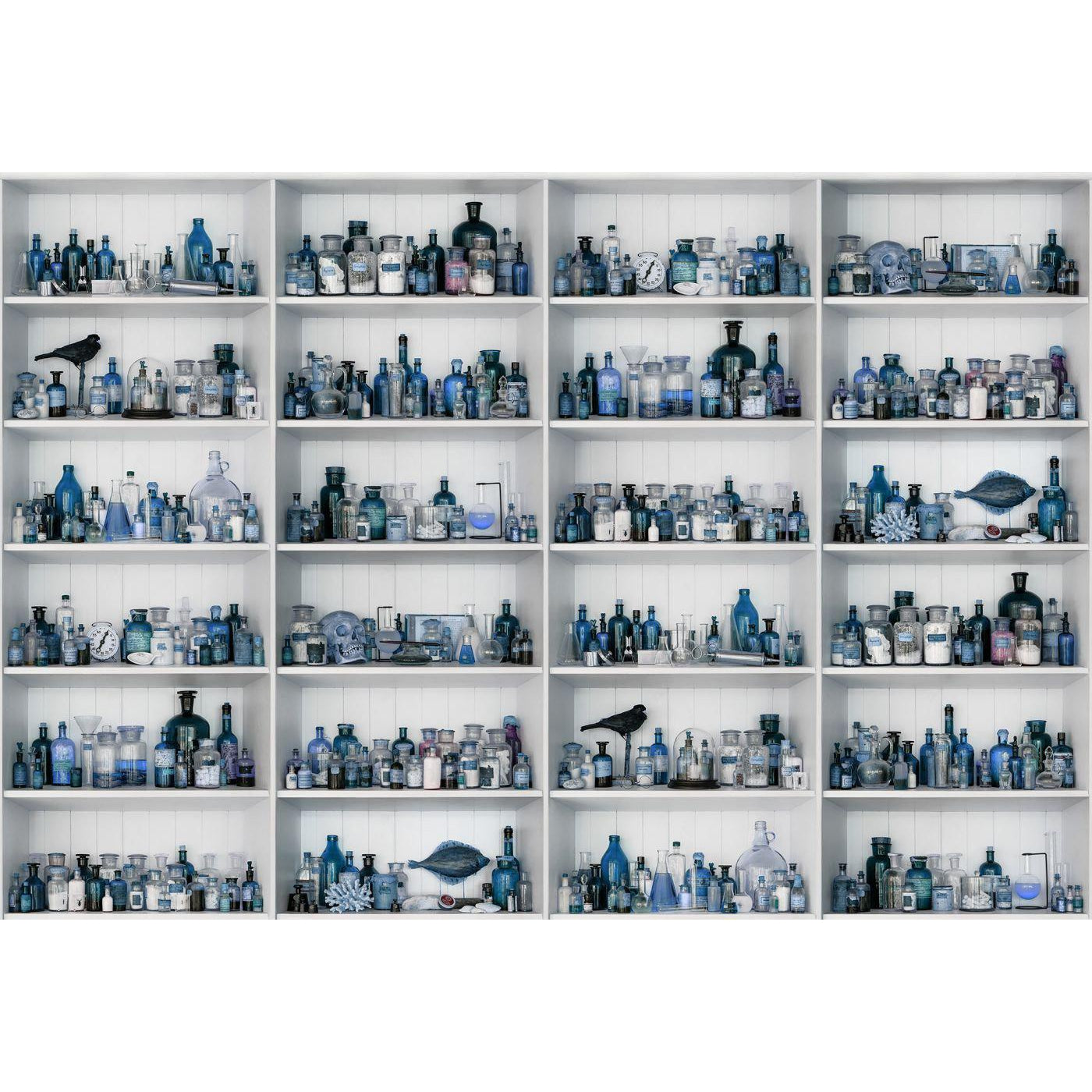 Cabinet of Curios-Digital Wallpaper-Rebel Walls-Blue / White / Grey-R14183