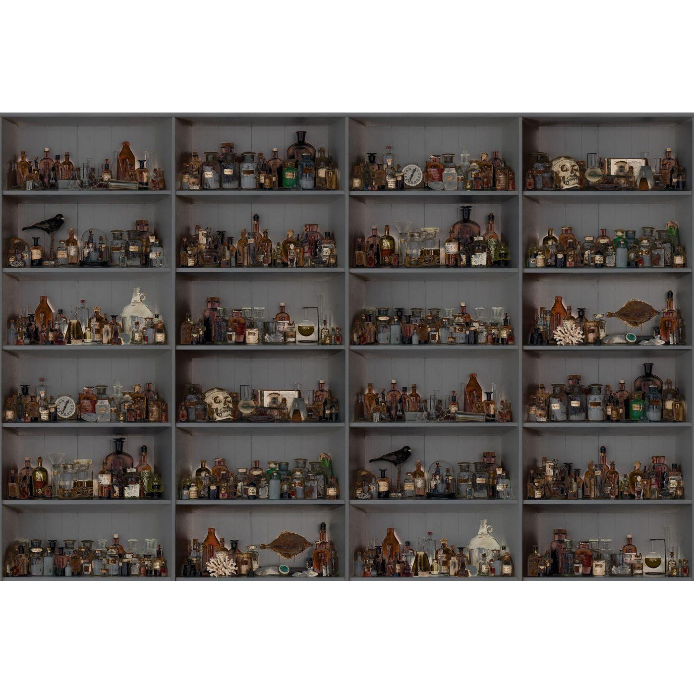 Cabinet of Curios-Digital Wallpaper-Rebel Walls-Brown / Grey-R14184