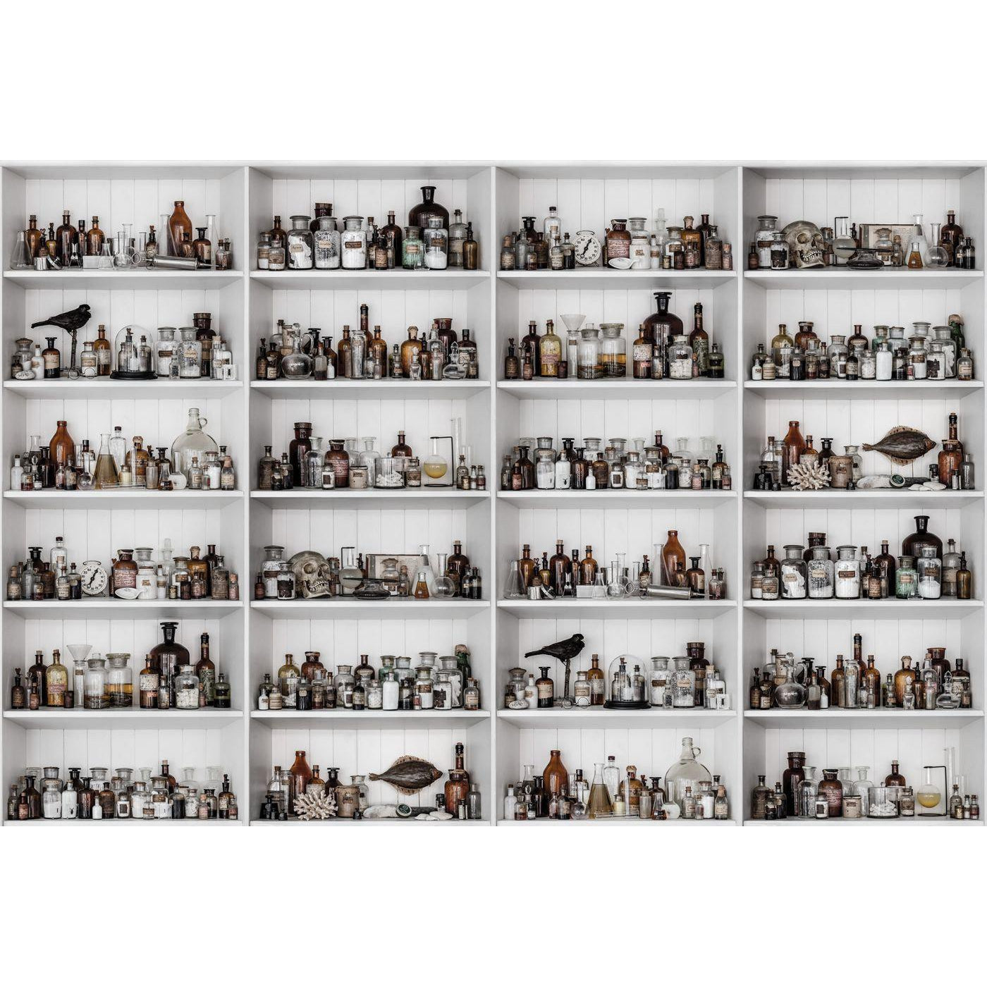 Cabinet of Curios-Digital Wallpaper-Rebel Walls-Dark Brown / White-R14182