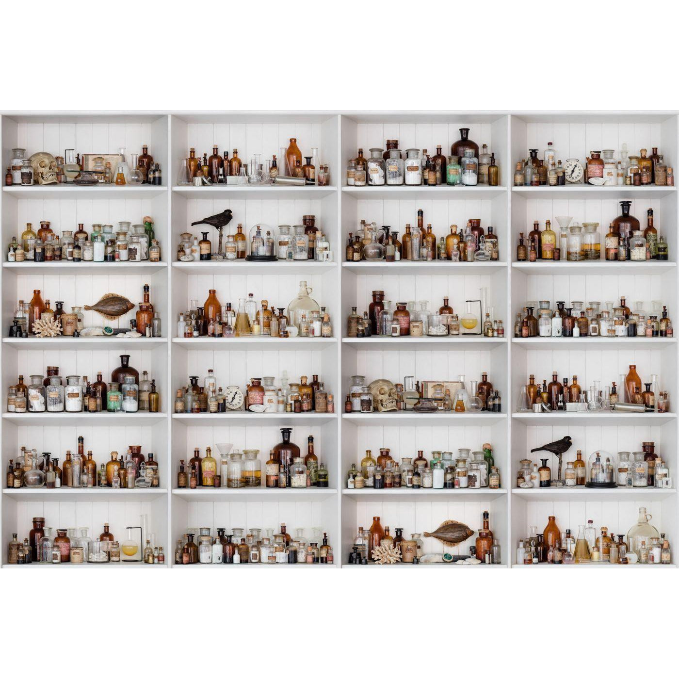 Cabinet of Curios-Digital Wallpaper-Rebel Walls-Light Brown / White-R14181