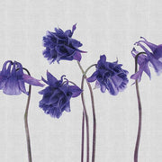 Campanula-Digital Wallpaper-London Art-Blue-13CP-01