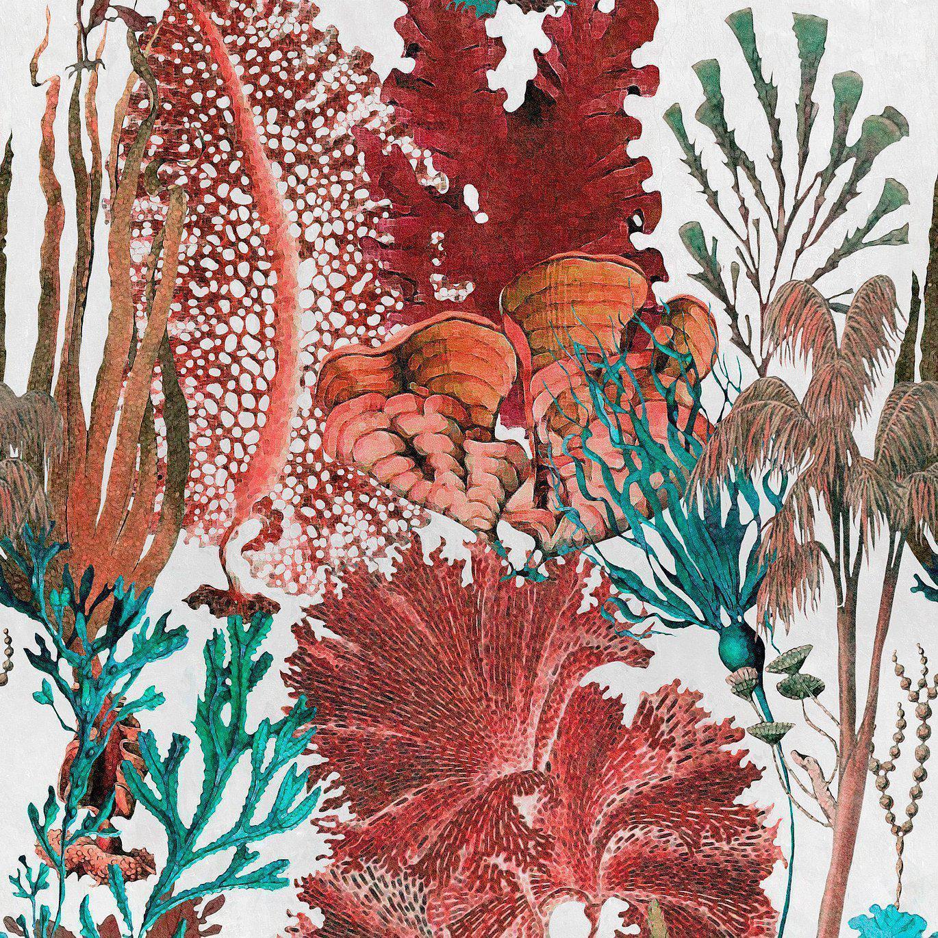 Coral Reef-Mind the Gap-moderndesign.io