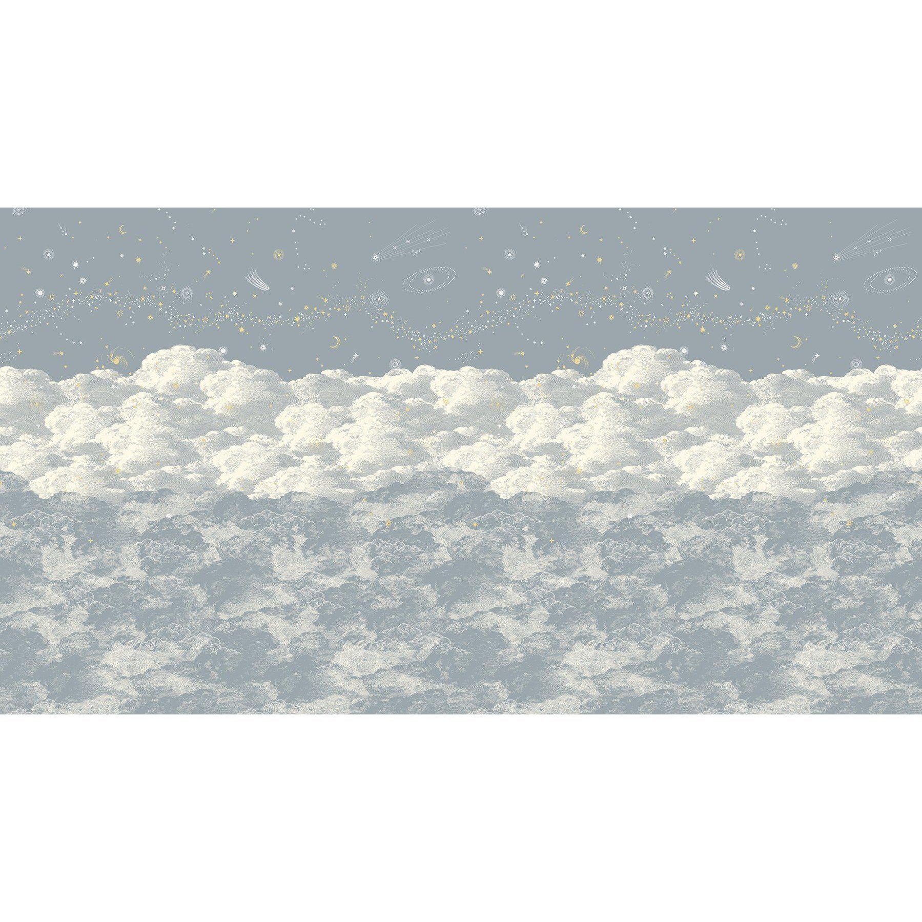 Cosmos-Digital Wallpaper-Isidore Leroy-Blue / Grey-06241813