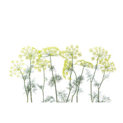 Crown of Dill-Digital Wallpaper-Rebel Walls-Green / White-R12951