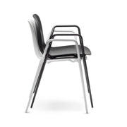 Dogo P-Dining Chair (with arms)-Chairs & More