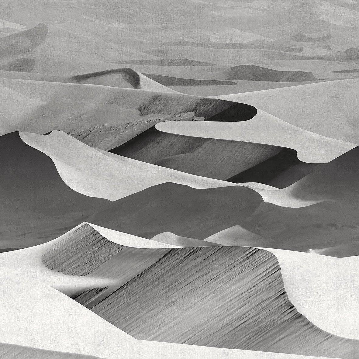 Dune-Digital Wallpaper-London Art-Grey-19011-03