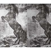 El Caballo De Andy-Digital Wallpaper-Wall&deco-Black-WDEC1301