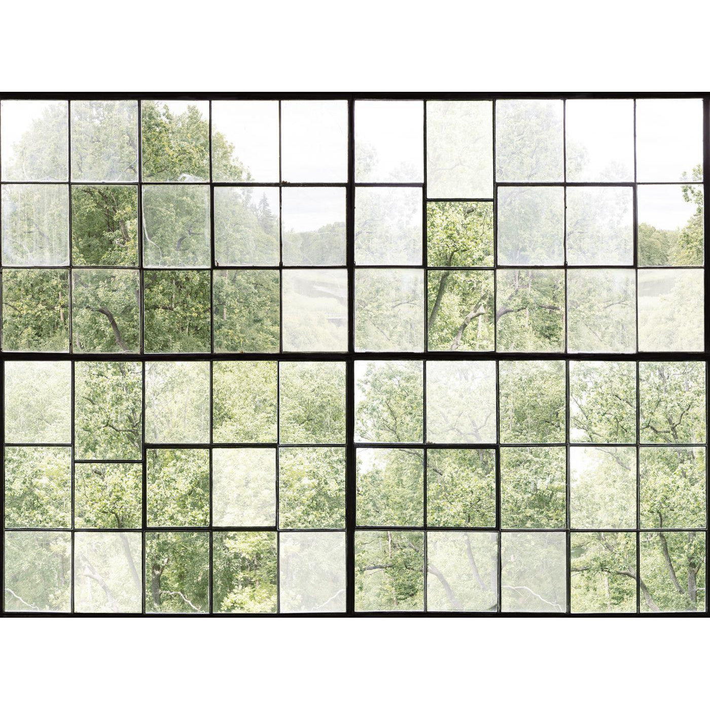 Factory Window-Digital Wallpaper-Rebel Walls-Green-R14381