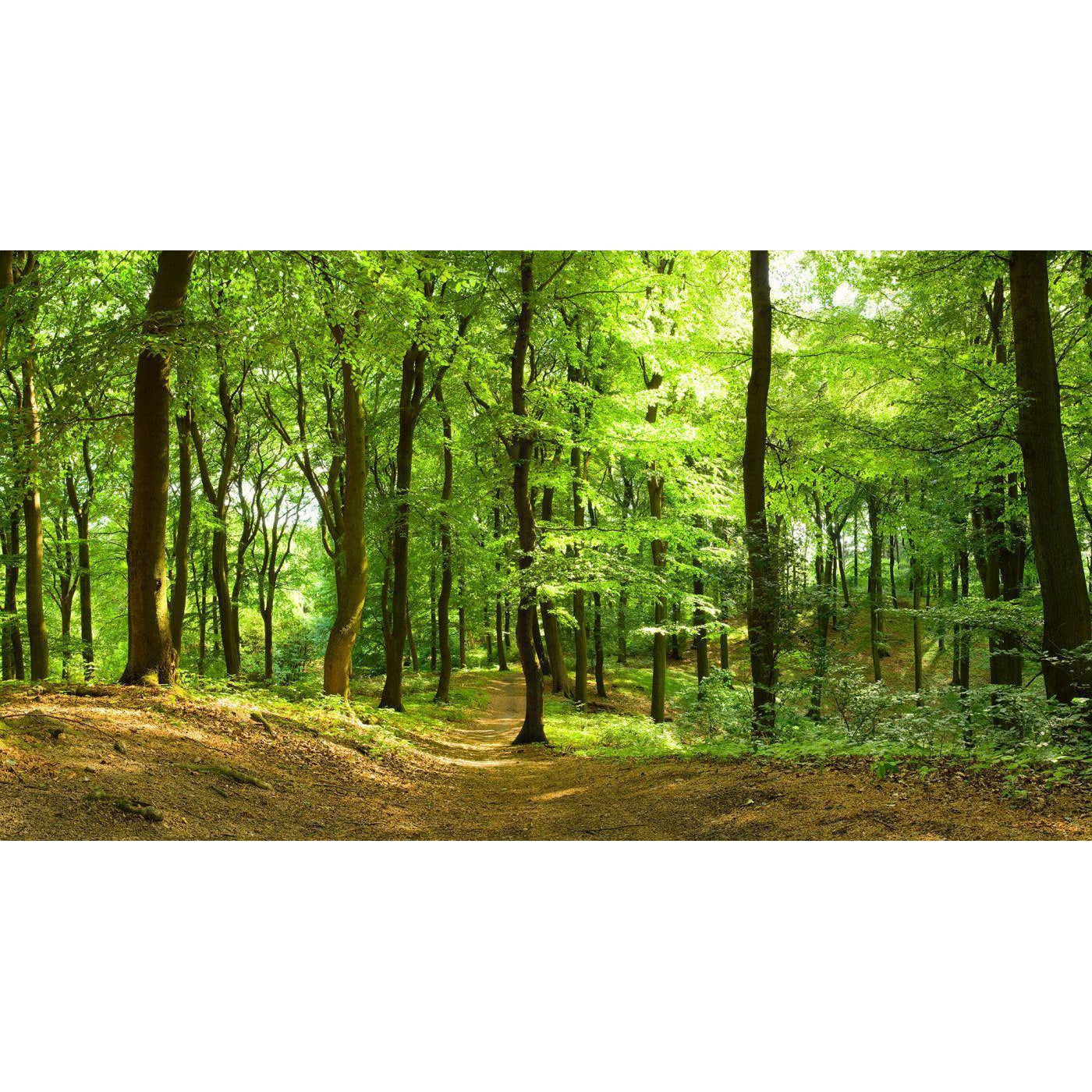 Forest-Digital Wallpaper-Rebel Walls-Green-R10141