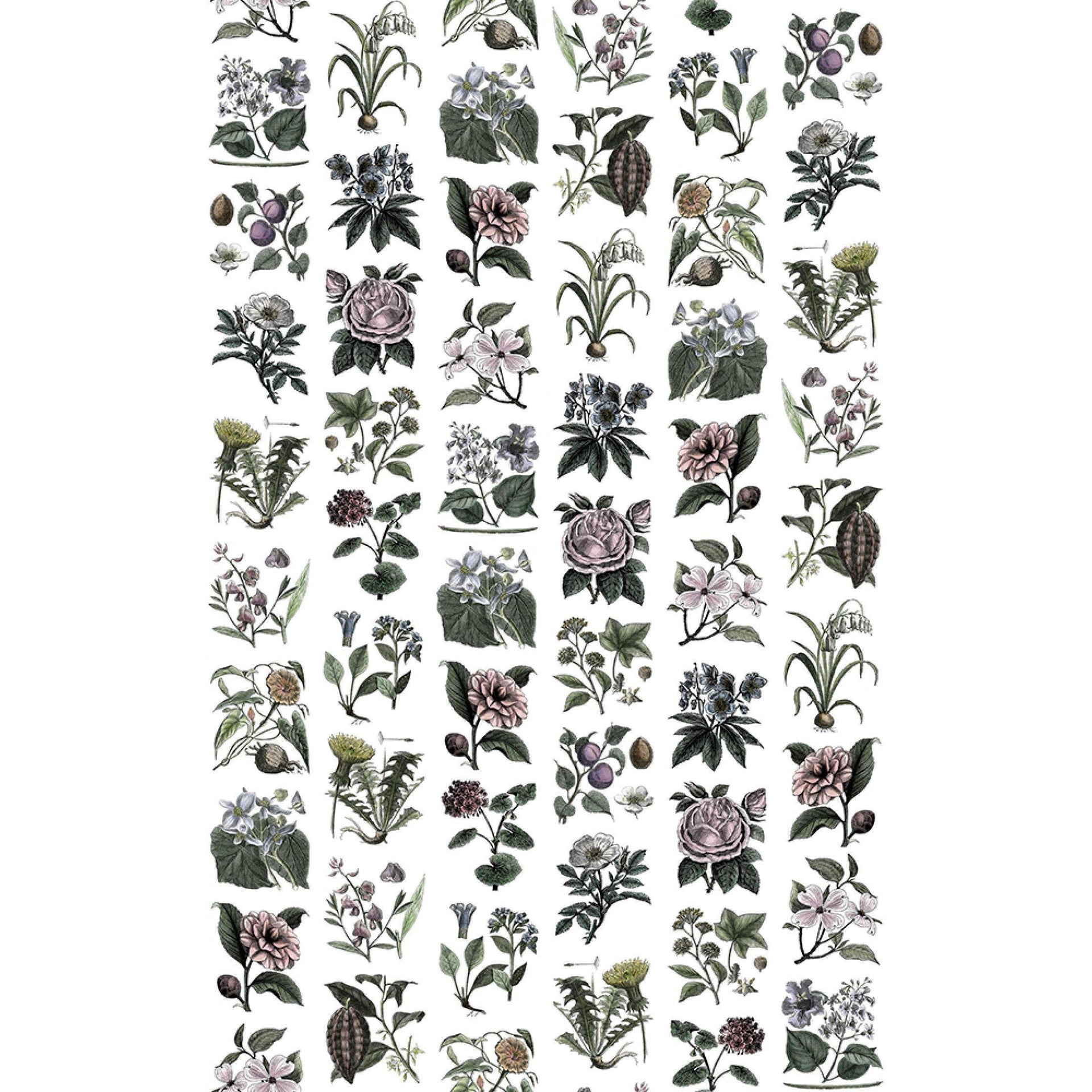 Fruit & Flora-Digital Wallpaper-Rebel Walls-Green / Pink / White-R13172