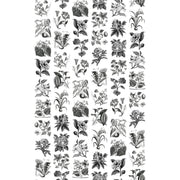 Fruit & Flora-Digital Wallpaper-Rebel Walls-Grey / White-R13171