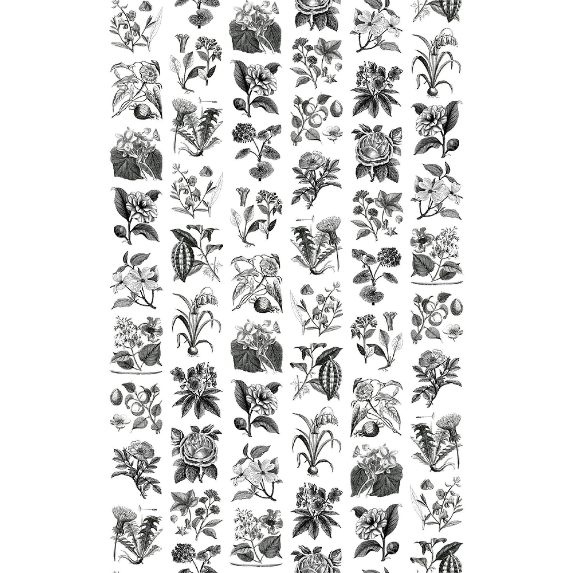 Fruit & Flora-Digital Wallpaper-Rebel Walls-Grey / White-R13171