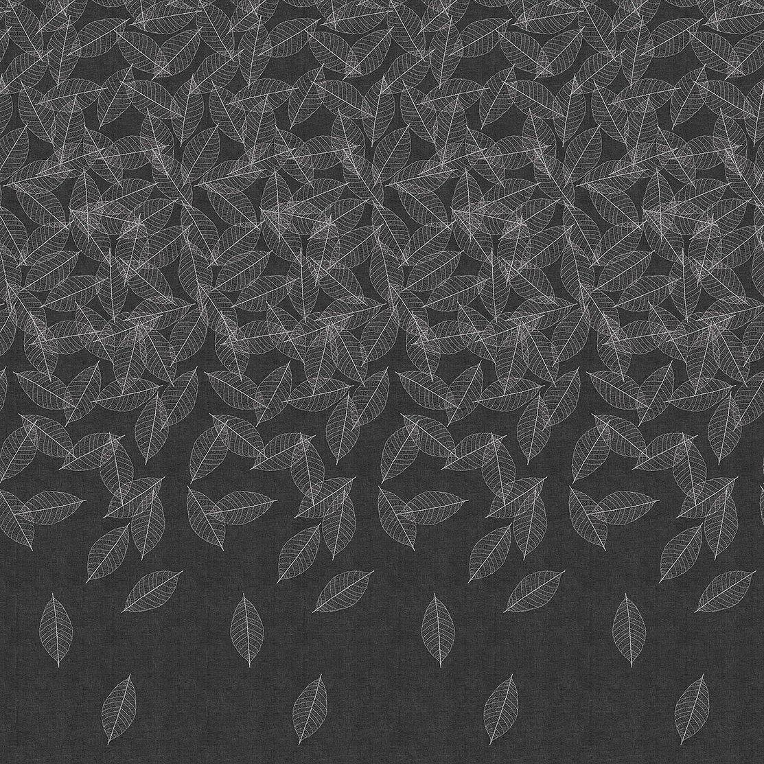 Gift Tree-Digital Wallpaper-London Art-Dark Grey-16037-01