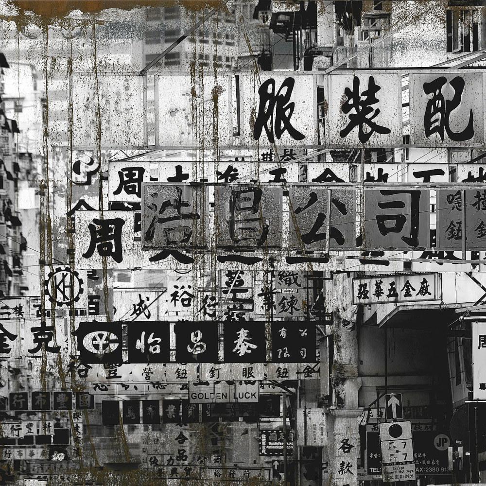 Hong Kong-Digital Wallpaper-Tecnografica-Black / White / Brown-65806-3