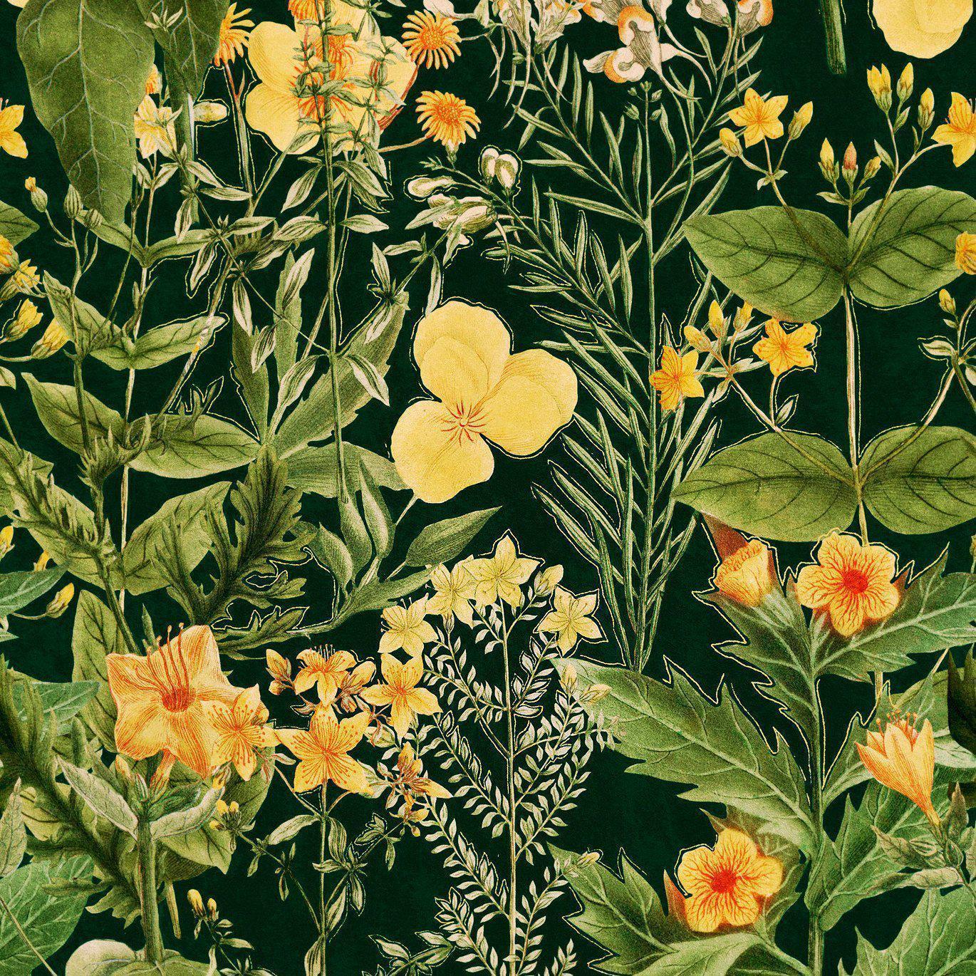 Mimulus-Pre-Printed Wallpaper-Mind the Gap-