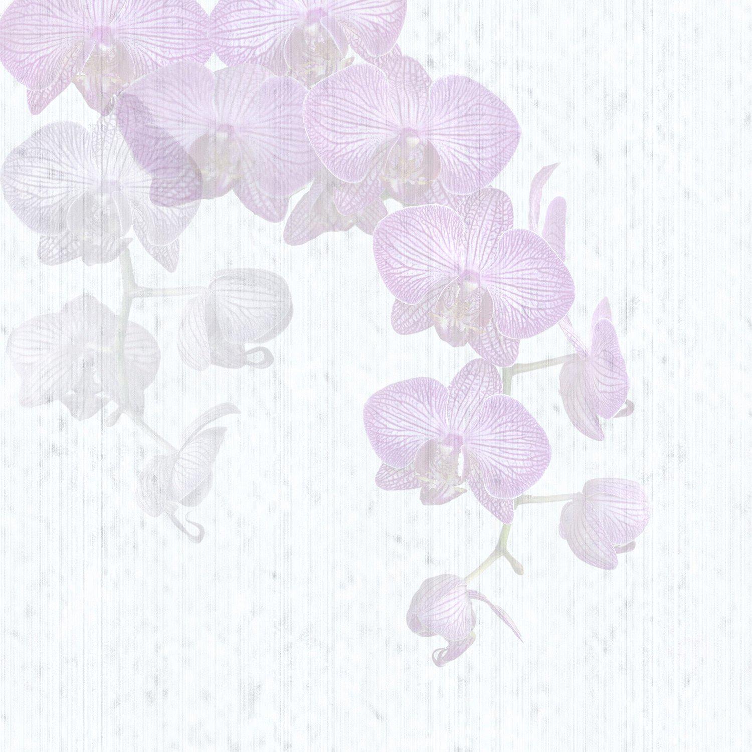 Orchidales-Digital Wallpaper-Tecnografica-Purple-61206-2