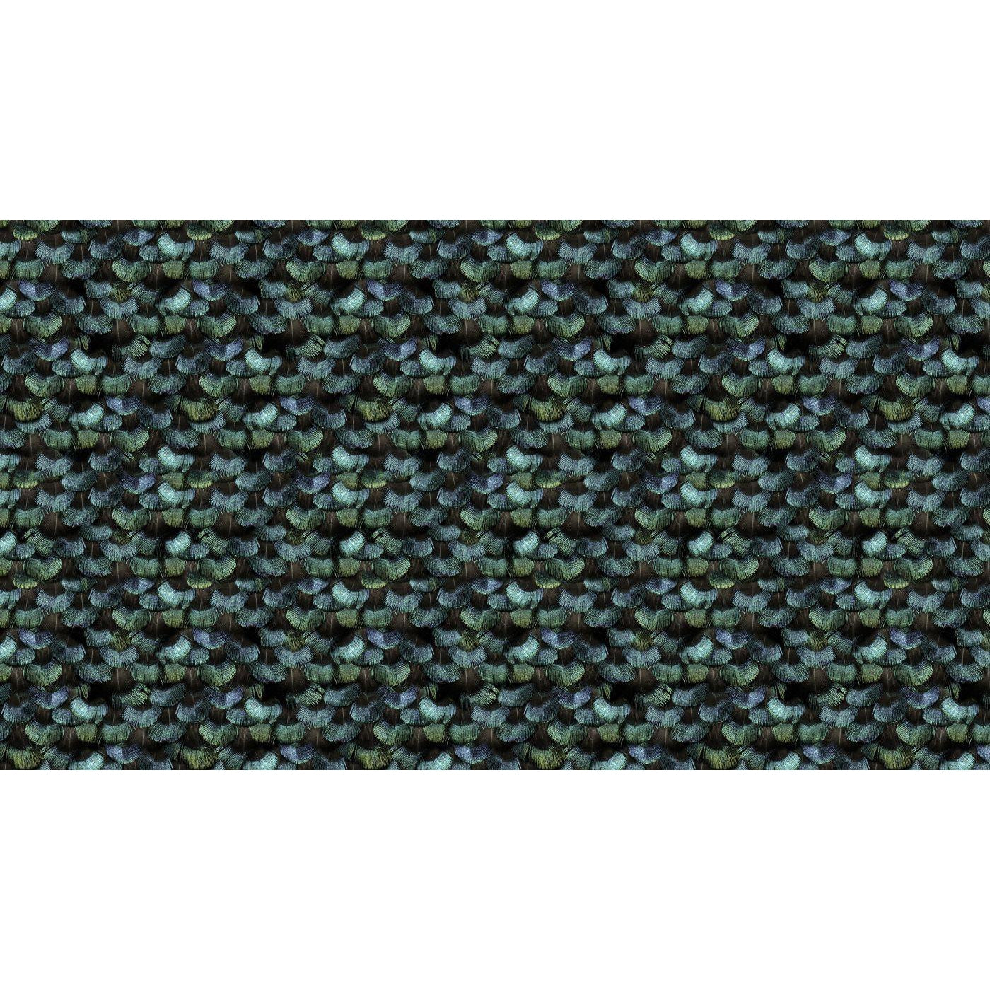 Peacock Plumage-Digital Wallpaper-Rebel Walls-Blue / Green / Black-R15091