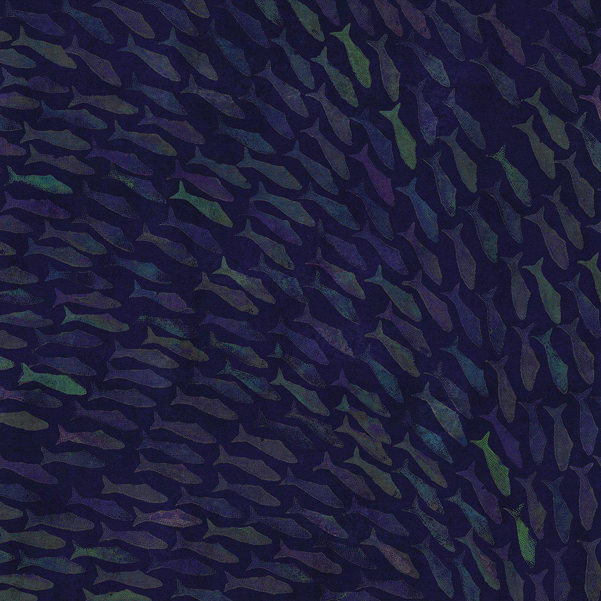 Rainbow Fish-Digital Wallpaper-London Art-Blue-18023-02