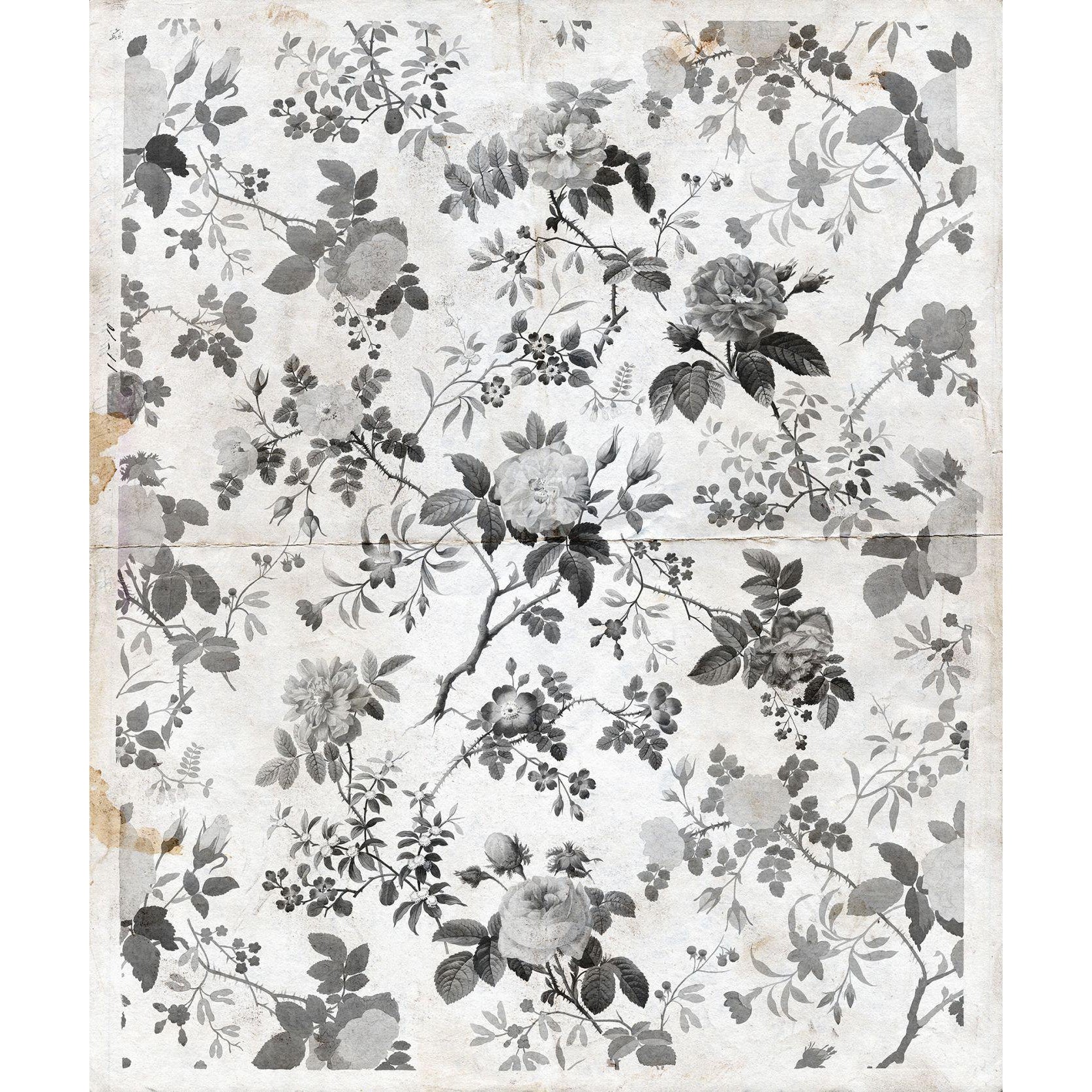 Rosegarden-Digital Wallpaper-Rebel Walls-Grey-R13072