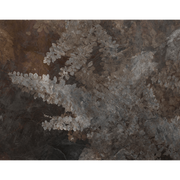 Soft Nature-Digital Wallpaper-Skinwall-Brown / Grey-126A