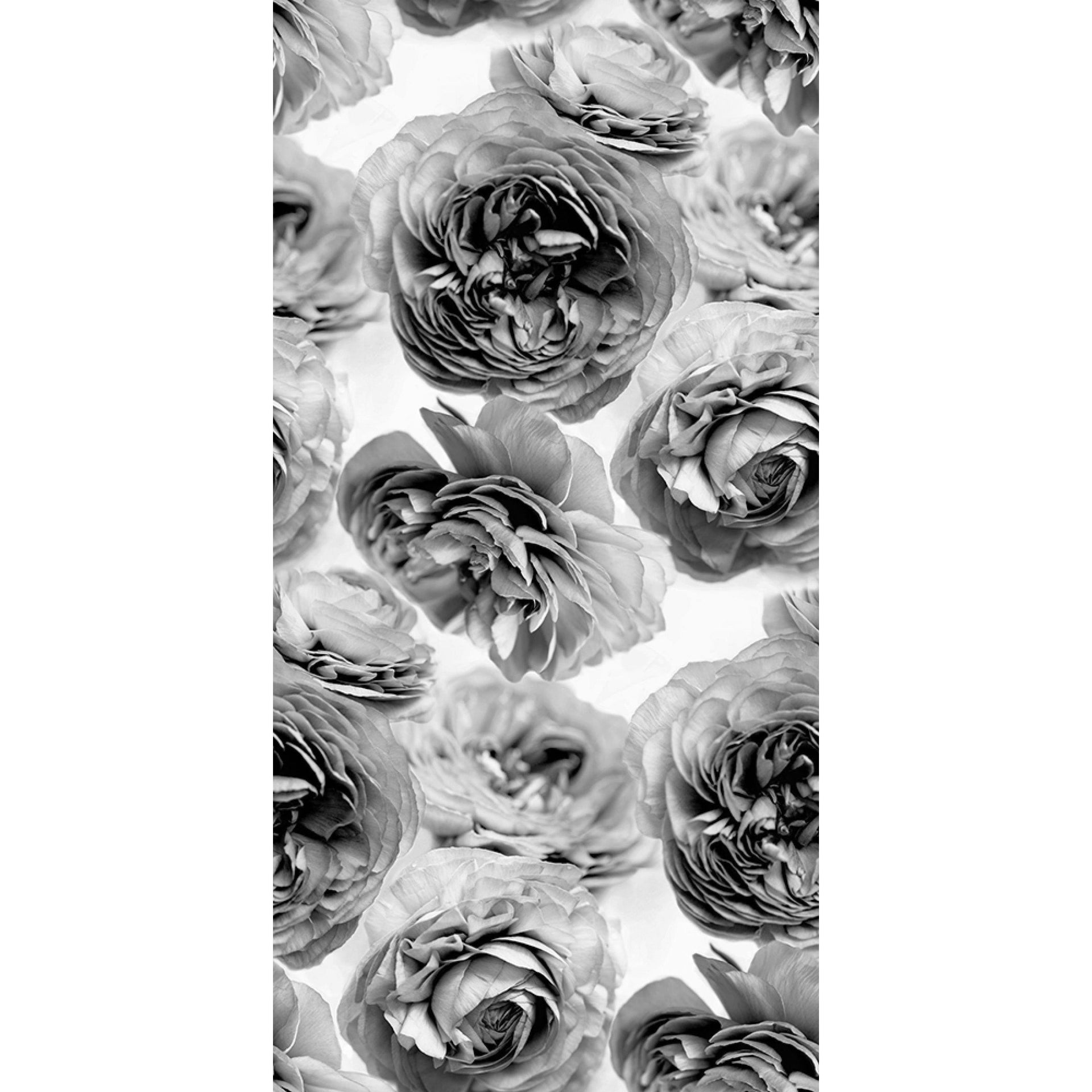 Summer Wind-Digital Wallpaper-Rebel Walls-Black / White-R13092