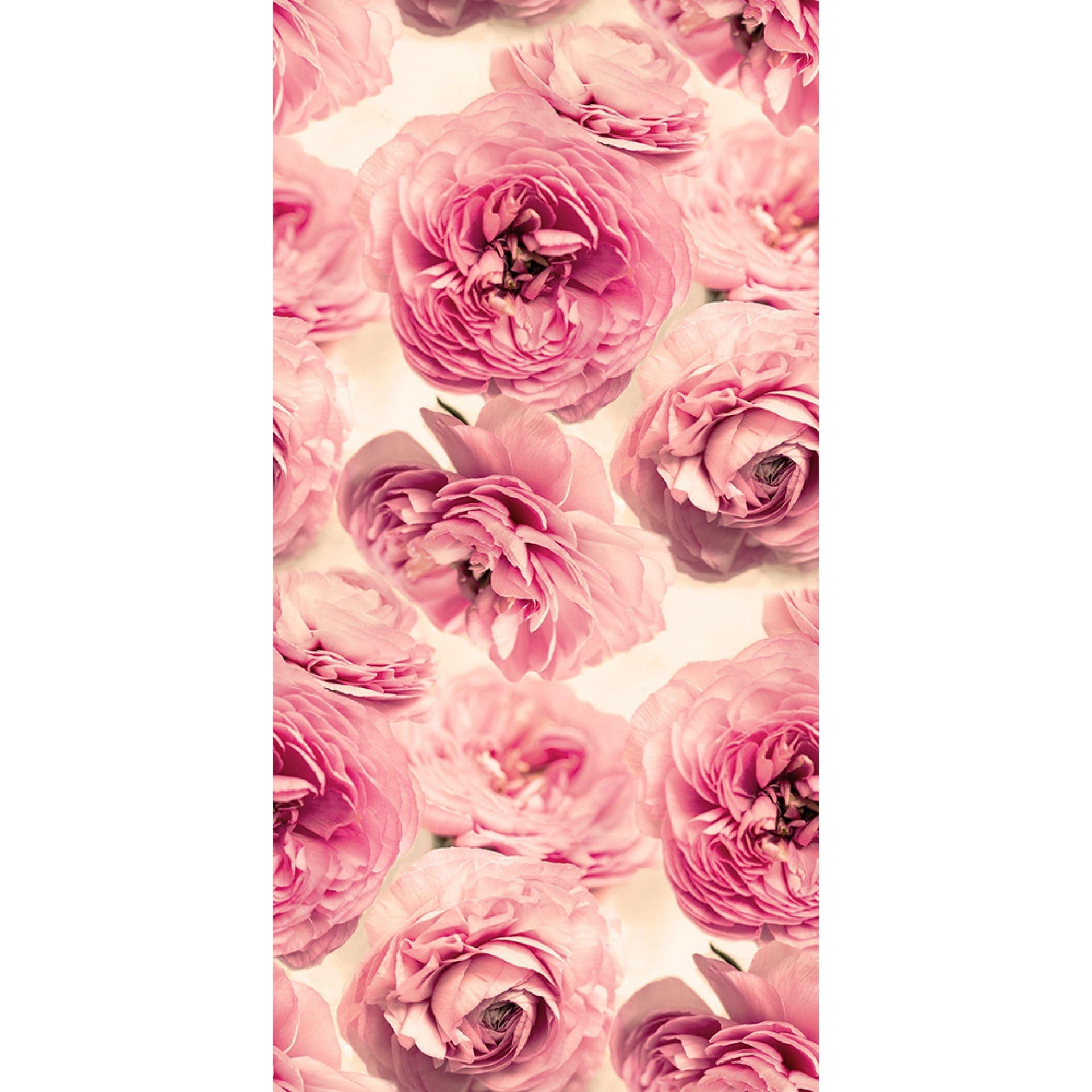Summer Wind-Digital Wallpaper-Rebel Walls-Pink-R13091