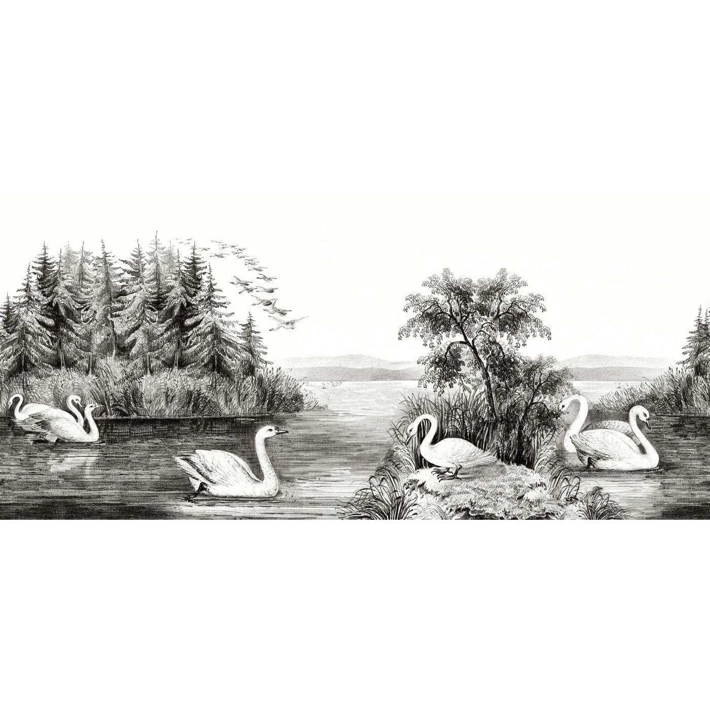 Swan Lake-Digital Wallpaper-Rebel Walls-Black / White-R16221