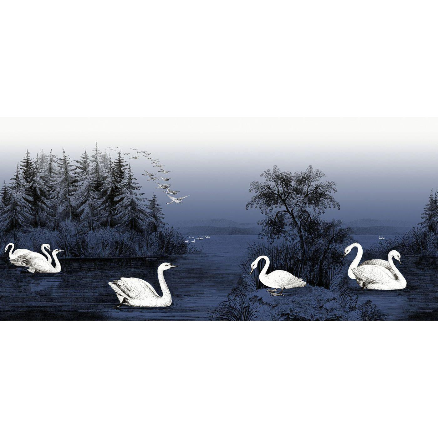 Swan Lake-Digital Wallpaper-Rebel Walls-Blue-R16222
