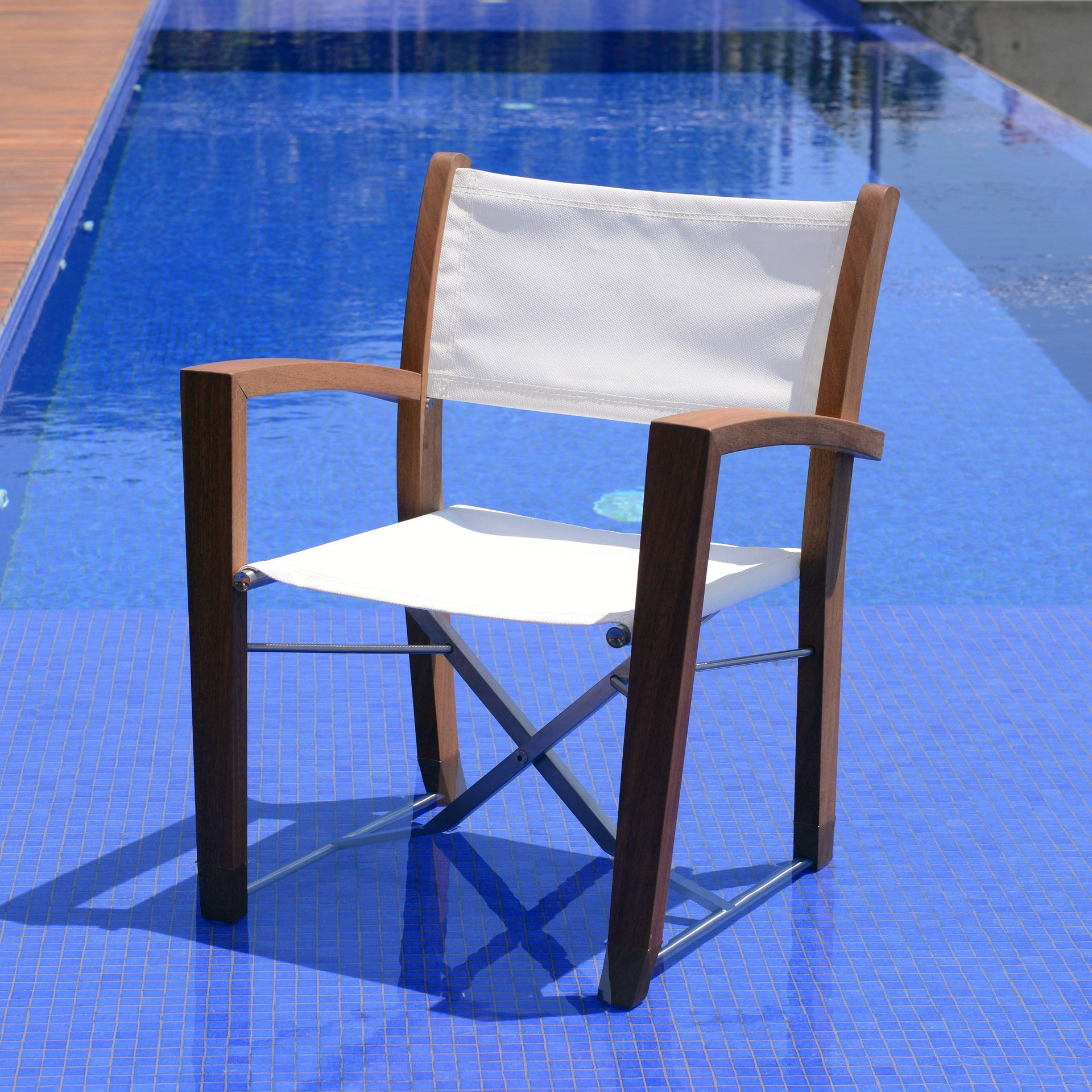 Sword Fish-Dining Chair (with arms)-Beltempo