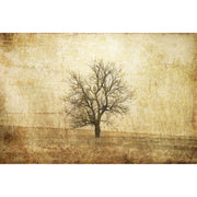 The Lonely Tree-Digital Wallpaper-Rebel Walls-Brown-R12081