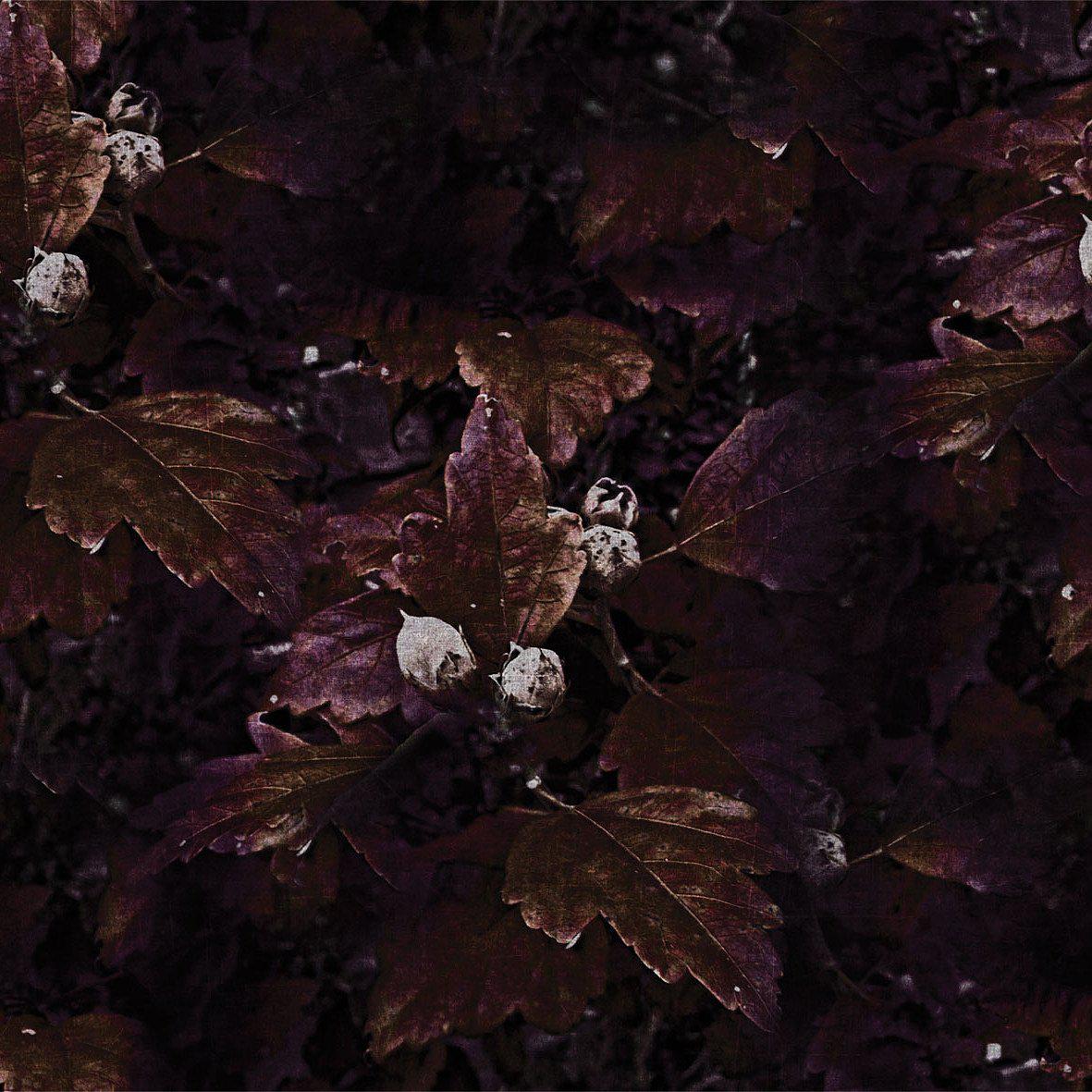 The Woodlanders-Digital Wallpaper-London Art-Brown / Purple-17065-02