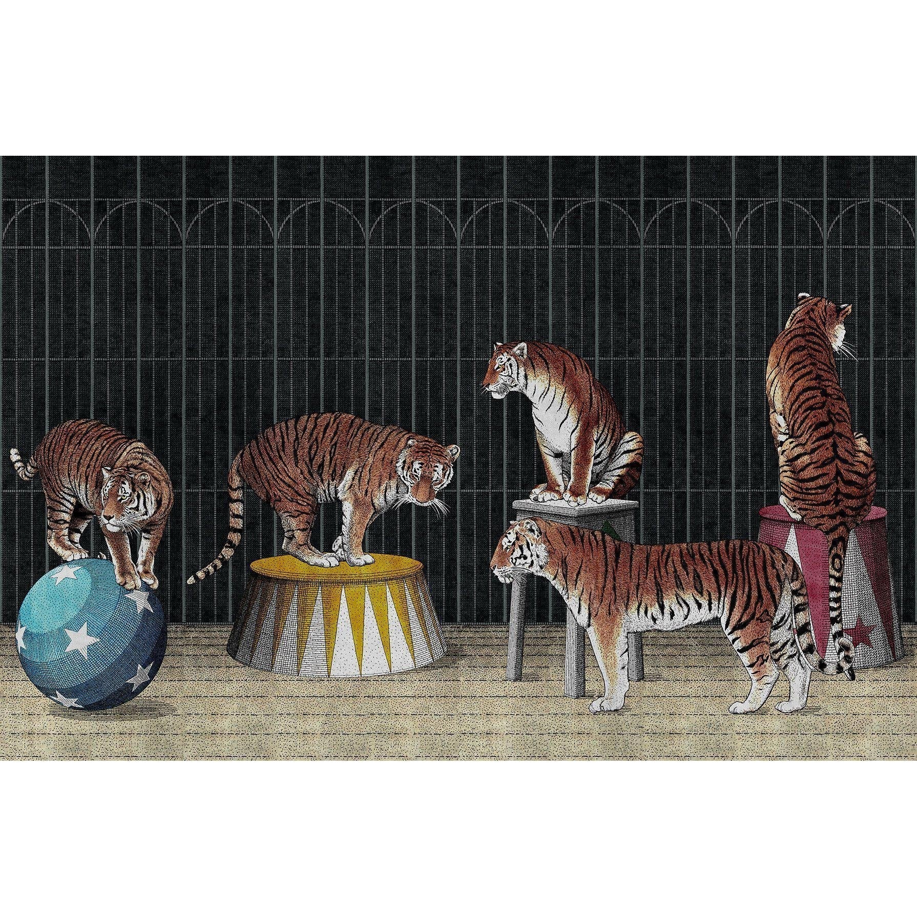 Tigers-Digital Wallpaper-London Art-Orange 2-19004-02