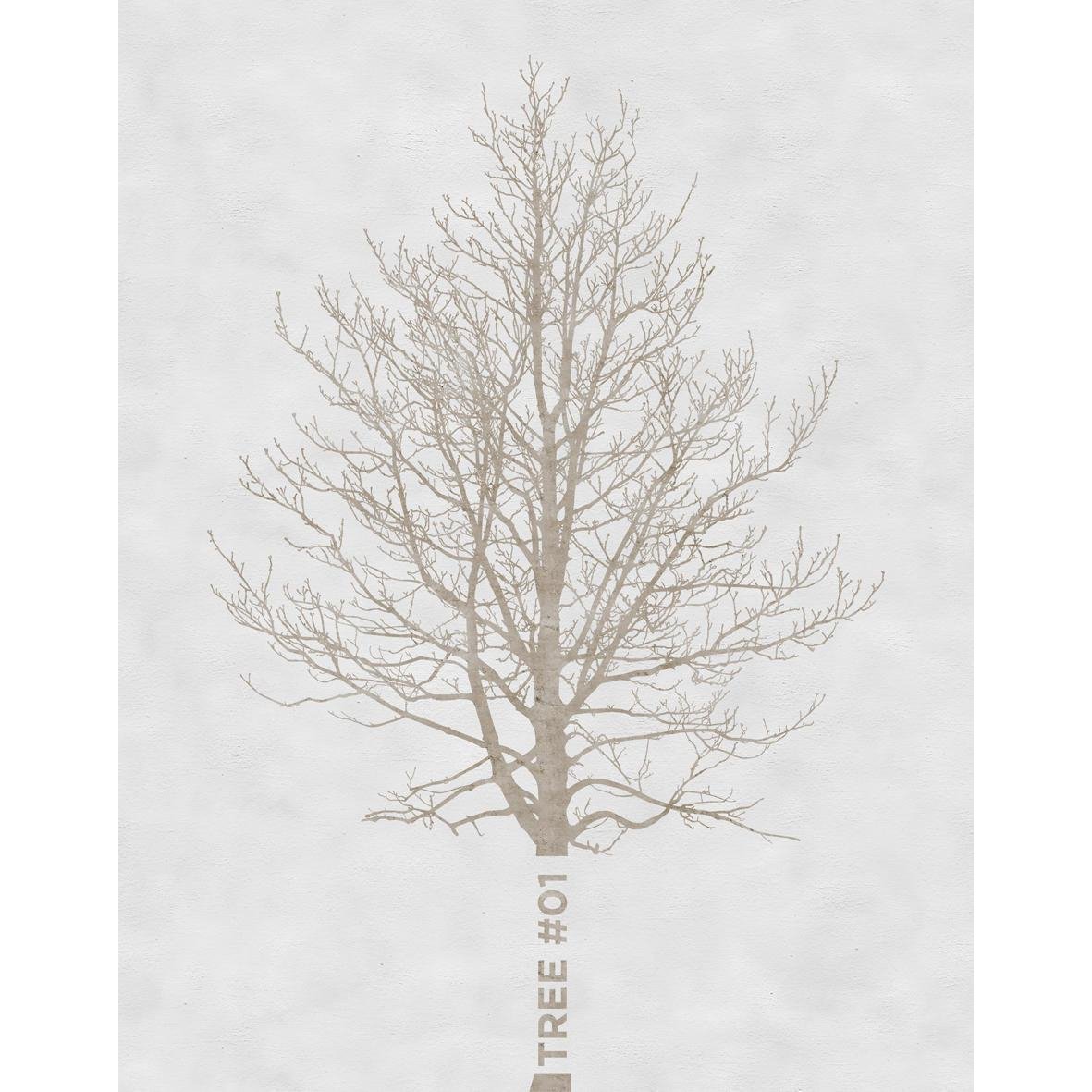 Tree-Digital Wallpaper-Wall&deco-Brown / White-OUTO_TR1303 A