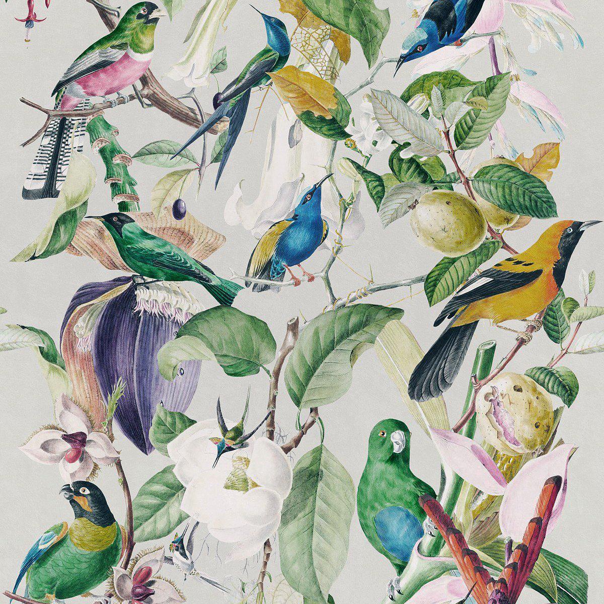 Tropical Birds-Pre-Printed Wallpaper-Mind the Gap-