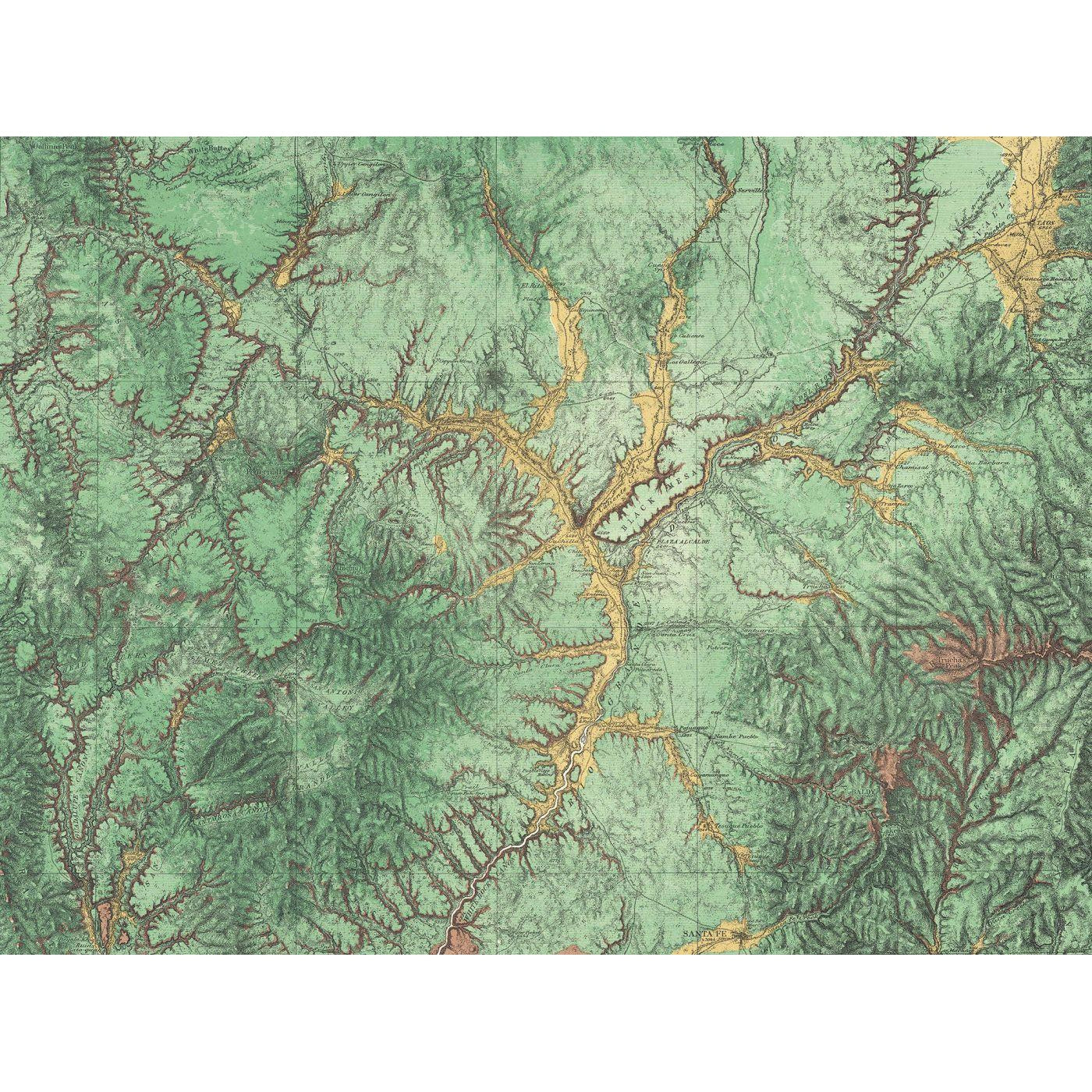 Woodland-Digital Wallpaper-Rebel Walls-Green-R13771