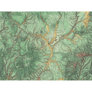 Woodland-Digital Wallpaper-Rebel Walls-Green-R13771