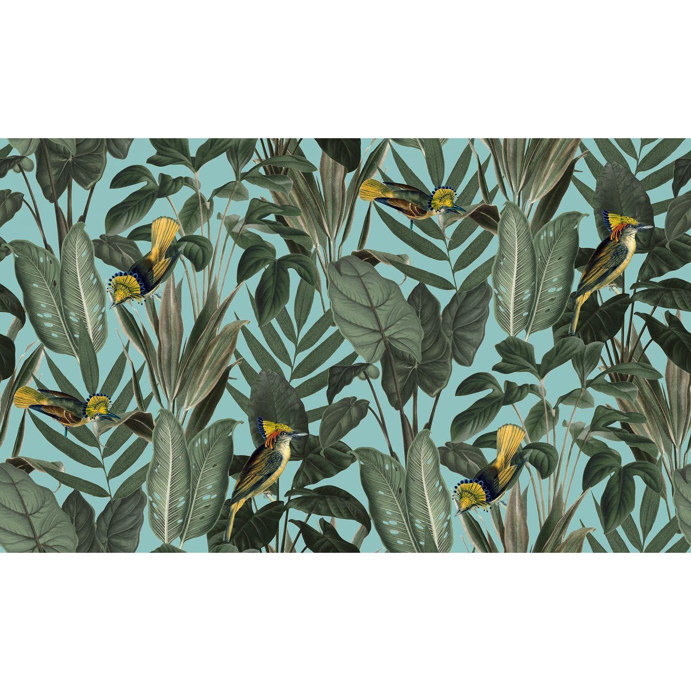 Yellow Bird-Digital Wallpaper-Rebel Walls-Green-R15731