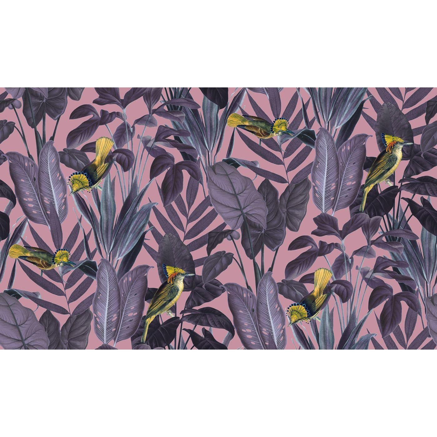 Yellow Bird-Digital Wallpaper-Rebel Walls-Purple-R15732